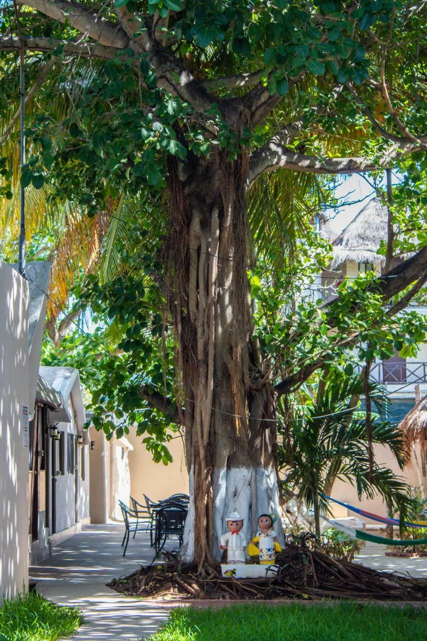 Hotel Popol Vuh (Adults Only) Playa del Carmen Zewnętrze zdjęcie